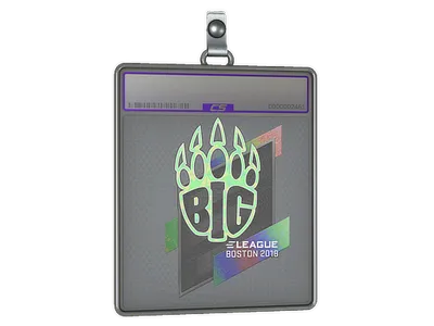Sticker Slab | BIG (Holo) | Boston 2018