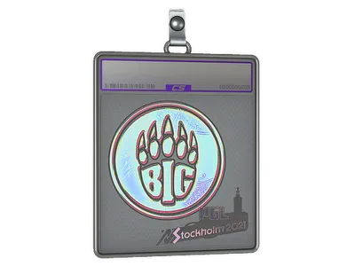 Sticker Slab | BIG (Holo) | Stockholm 2021