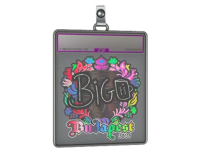 Sticker Slab | biguzera (Holo) | Budapest 2025