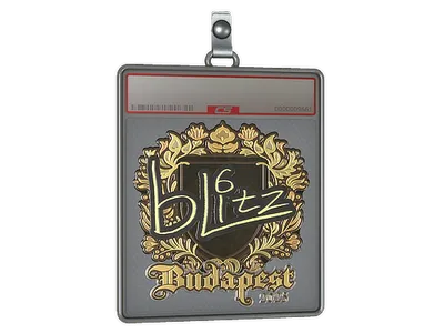 Sticker Slab | bLitz (Gold) | Budapest 2025