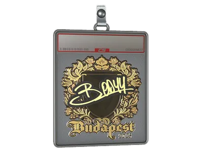 Sticker Slab | bodyy (Gold) | Budapest 2025