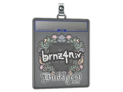 Sticker Slab | brnz4n | Budapest 2025