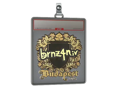 Sticker Slab | brnz4n (Gold) | Budapest 2025