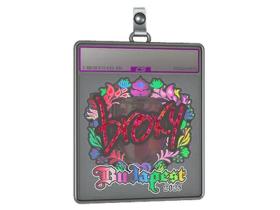 Sticker Slab | broky (Holo) | Budapest 2025