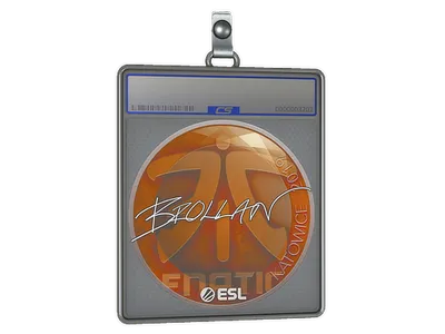 Sticker Slab | Brollan | Katowice 2019