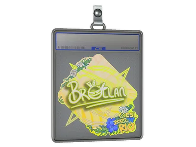 Sticker Slab | Brollan | Rio 2022