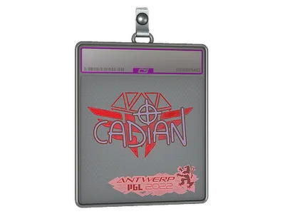 Sticker Slab | cadiaN (Holo) | Antwerp 2022