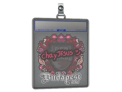 Sticker Slab | chayJESUS | Budapest 2025