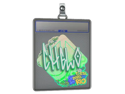 Sticker Slab | chelo | Rio 2022