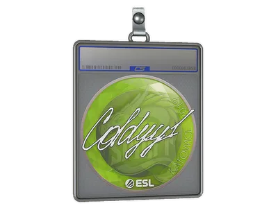 Sticker Slab | COLDYY1 | Katowice 2019