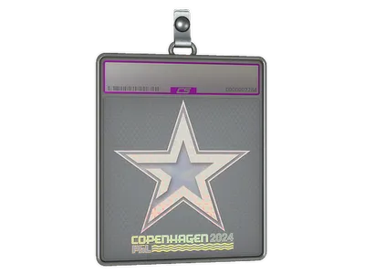 Sticker Slab | Complexity Gaming (Holo) | Copenhagen 2024