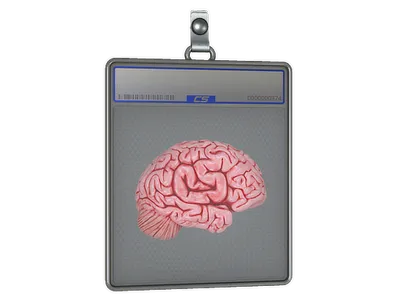 Sticker Slab | CS On The Mind