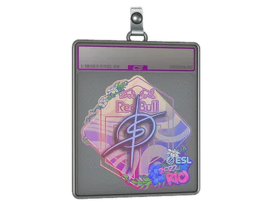 Sticker Slab | degster (Holo) | Rio 2022