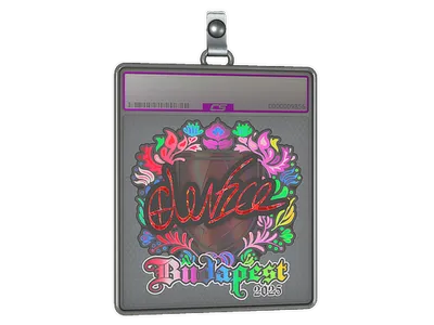 Sticker Slab | device (Holo) | Budapest 2025