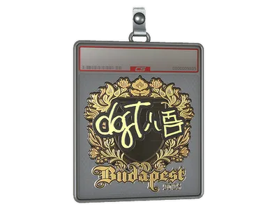 Sticker Slab | dgt (Gold) | Budapest 2025