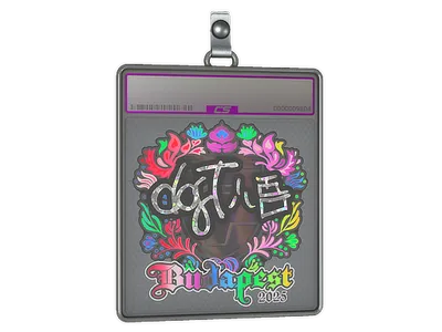 Sticker Slab | dgt (Holo) | Budapest 2025