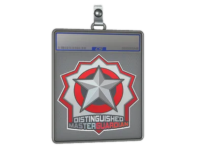 Sticker Slab | Distinguished Master Guardian