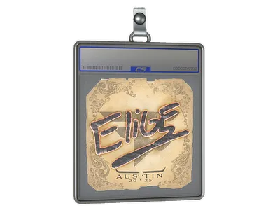 Sticker Slab | EliGE | Austin 2025