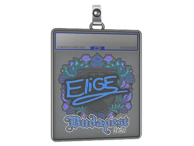 Sticker Slab | EliGE | Budapest 2025