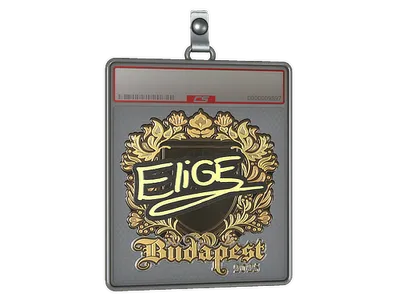 Sticker Slab | EliGE (Gold) | Budapest 2025