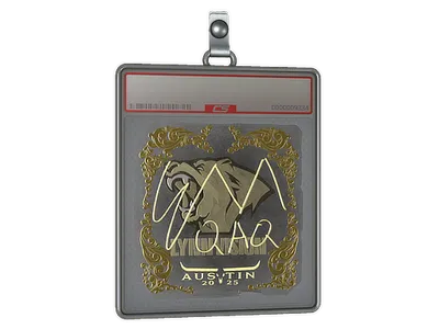 Sticker Slab | EmiliaQAQ (Gold) | Austin 2025