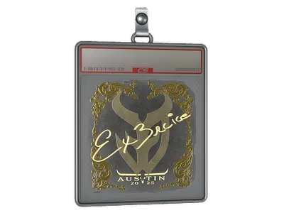 Sticker Slab | Ex3rcice (Gold) | Austin 2025