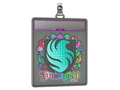 Sticker Slab | Falcons (Holo) | Budapest 2025