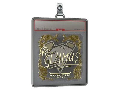 Sticker Slab | FL4MUS (Gold) | Austin 2025