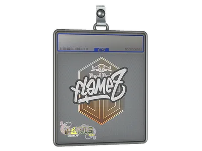 Sticker Slab | FlameZ | Paris 2023