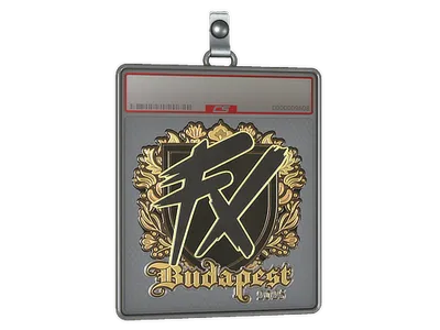 Sticker Slab | Fluxo (Gold) | Budapest 2025