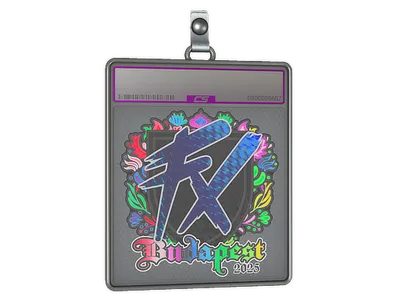 Sticker Slab | Fluxo (Holo) | Budapest 2025