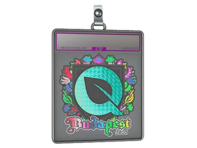 Sticker Slab | FlyQuest (Holo) | Budapest 2025