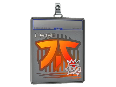 Sticker Slab | Fnatic | 2020 RMR