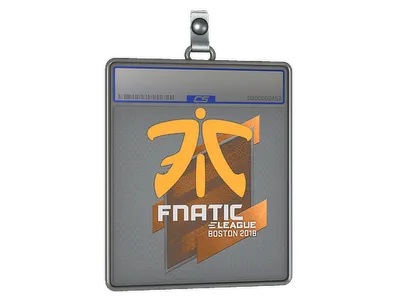 Sticker Slab | Fnatic | Boston 2018