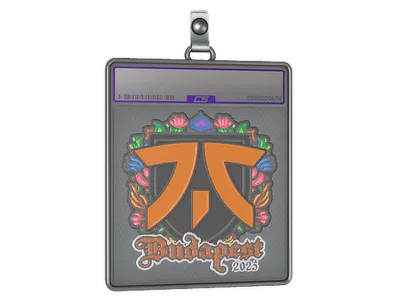 Sticker Slab | fnatic (Embroidered) | Budapest 2025