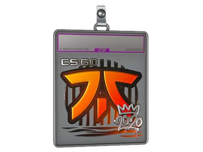 Sticker Slab | Fnatic (Foil) | 2020 RMR