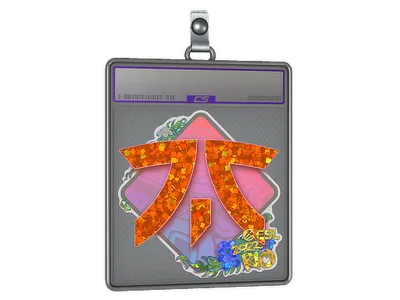 Sticker Slab | Fnatic (Glitter) | Rio 2022