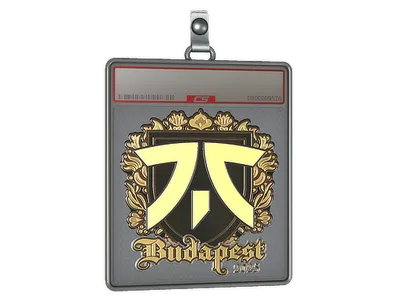 Sticker Slab | fnatic (Gold) | Budapest 2025
