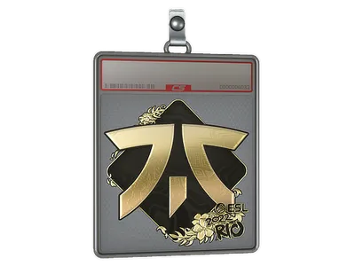 Sticker Slab | Fnatic (Gold) | Rio 2022