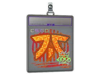 Sticker Slab | Fnatic (Holo) | 2020 RMR