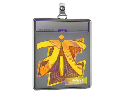 Sticker Slab | Fnatic (Holo) | Atlanta 2017