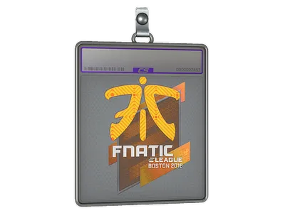 Sticker Slab | Fnatic (Holo) | Boston 2018