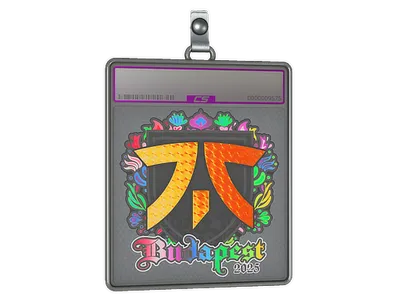 Sticker Slab | fnatic (Holo) | Budapest 2025
