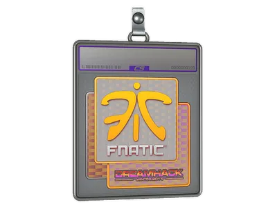 Sticker Slab | Fnatic (Holo) | DreamHack 2014