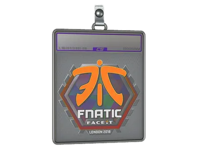 Sticker Slab | Fnatic (Holo) | London 2018