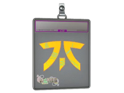 Sticker Slab | Fnatic (Holo) | Paris 2023