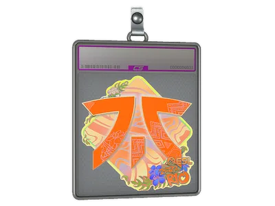 Sticker Slab | Fnatic (Holo) | Rio 2022