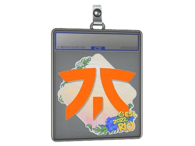 Sticker Slab | Fnatic | Rio 2022