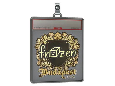 Sticker Slab | frozen (Gold) | Budapest 2025