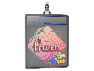 Sticker Slab | frozen | Rio 2022